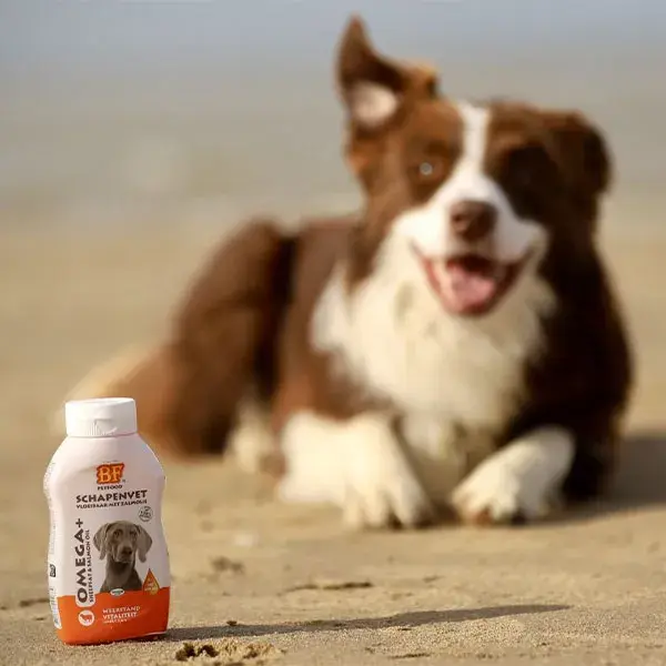 Gordura líquida de ovelha BF Petfood para cães 500ml