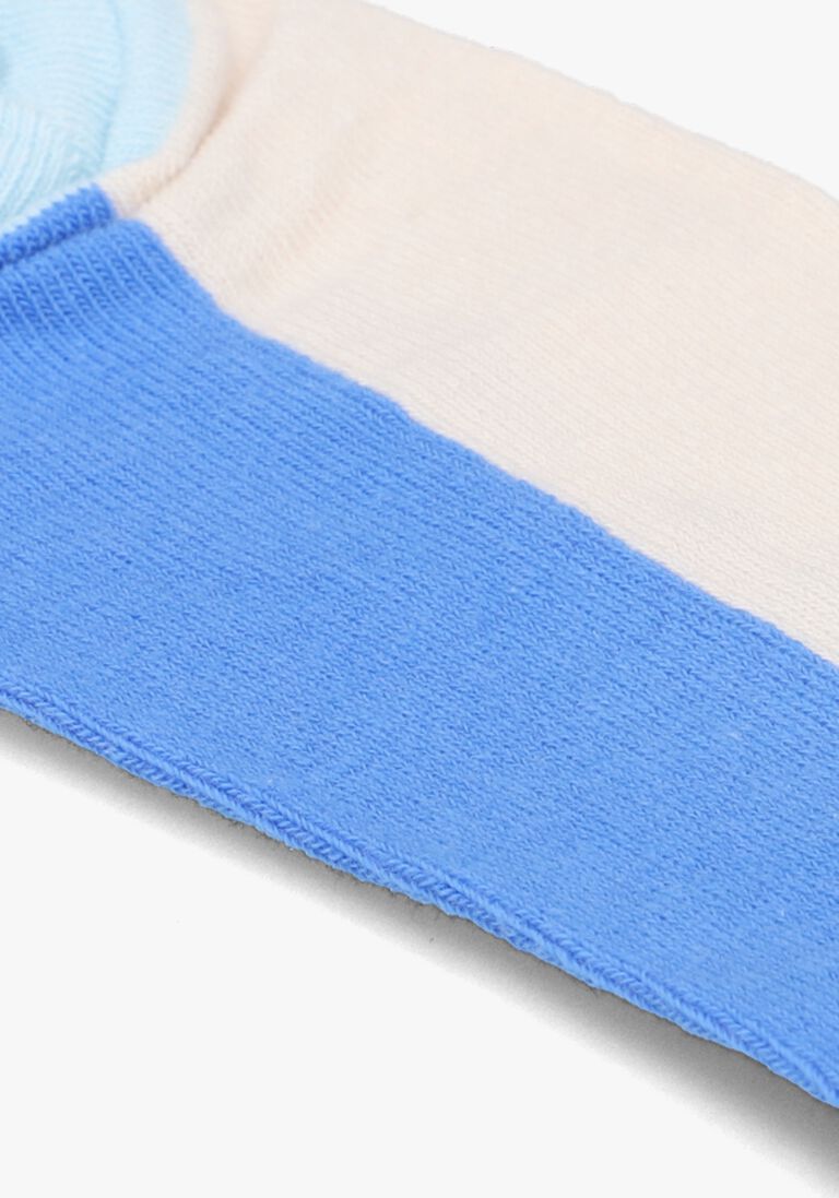 BECKSONDERGAARD blauwe becksondergaard sokken sporty block sock