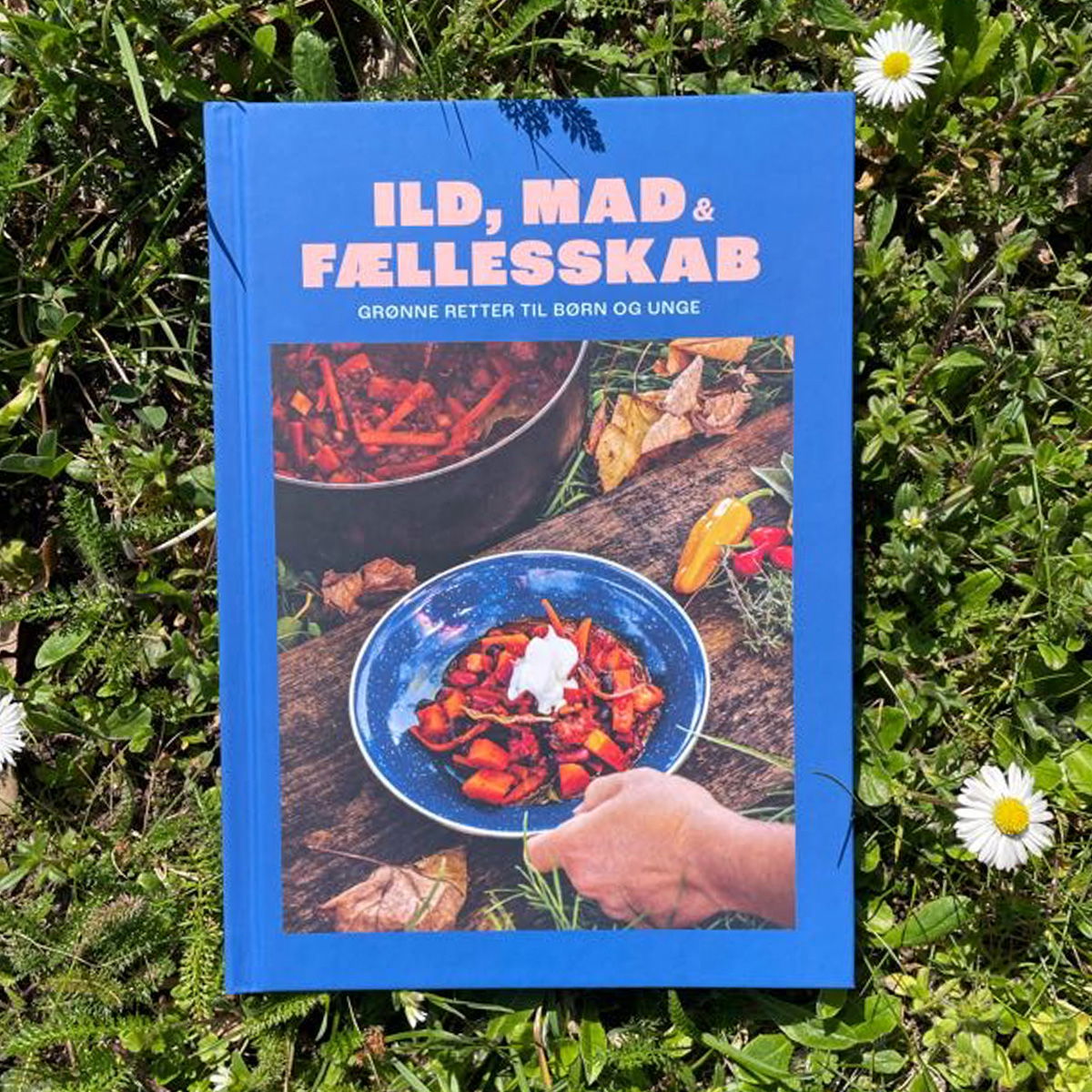 Ild, Mad og Fællesskab - kogebog til bålmad og grønne retter
