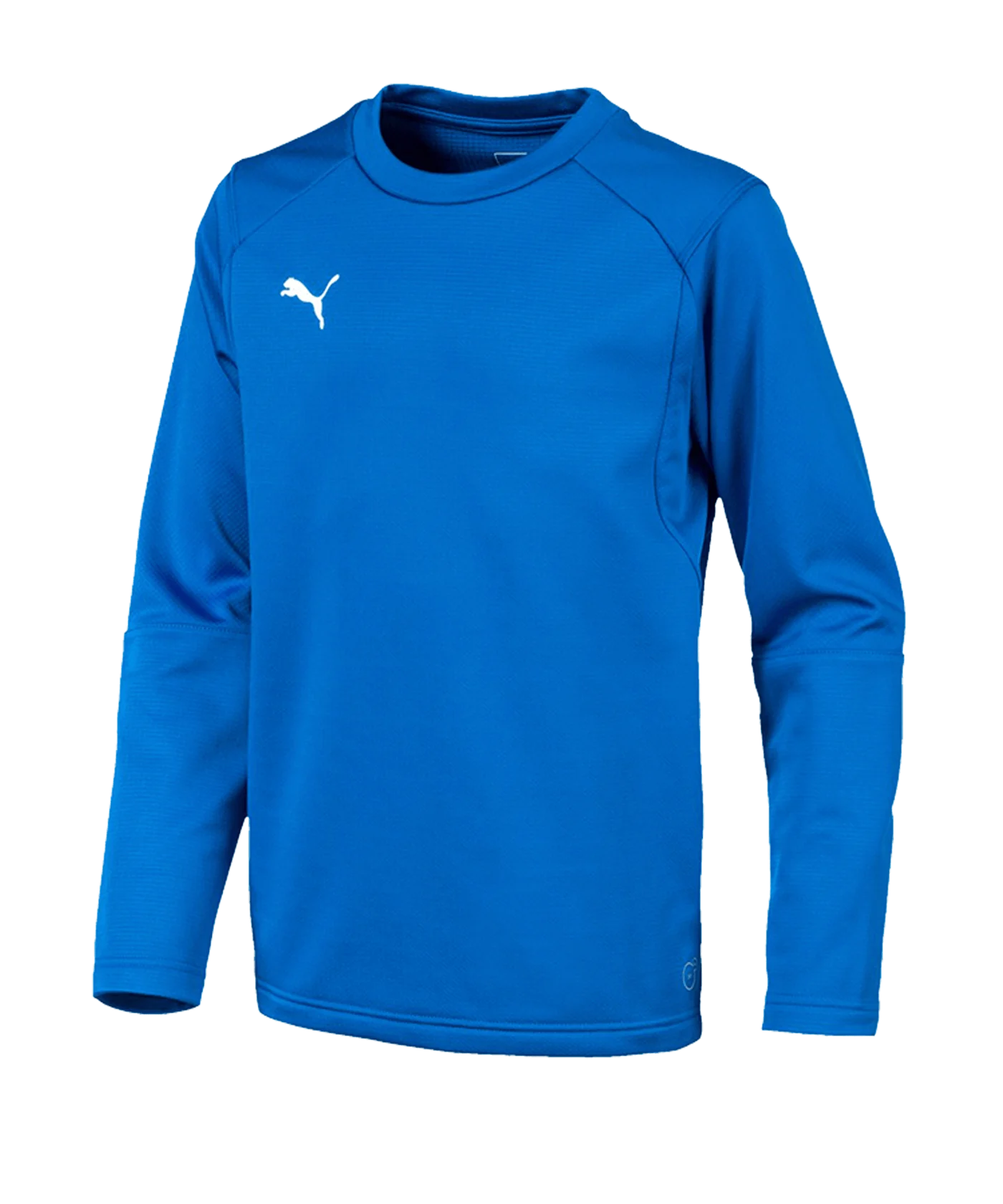 PUMA LIGA Training Sweatshirt Kids Blau F02