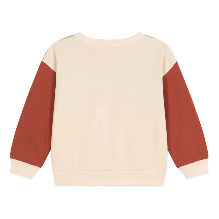 Petit Bateau Sweat Mael Colorbloc | Sauge