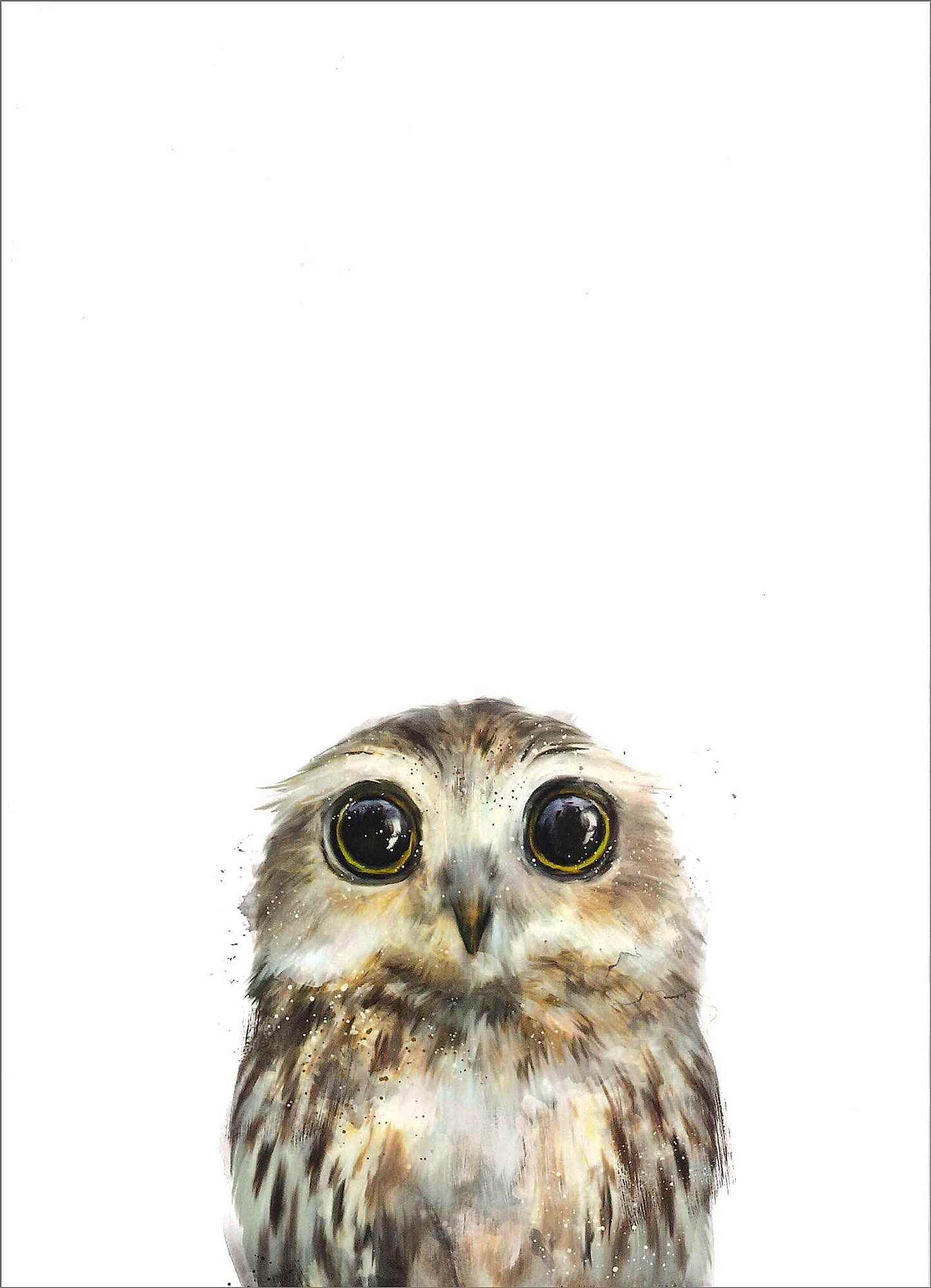 Postkarte 'Little owl' günstig bestellen