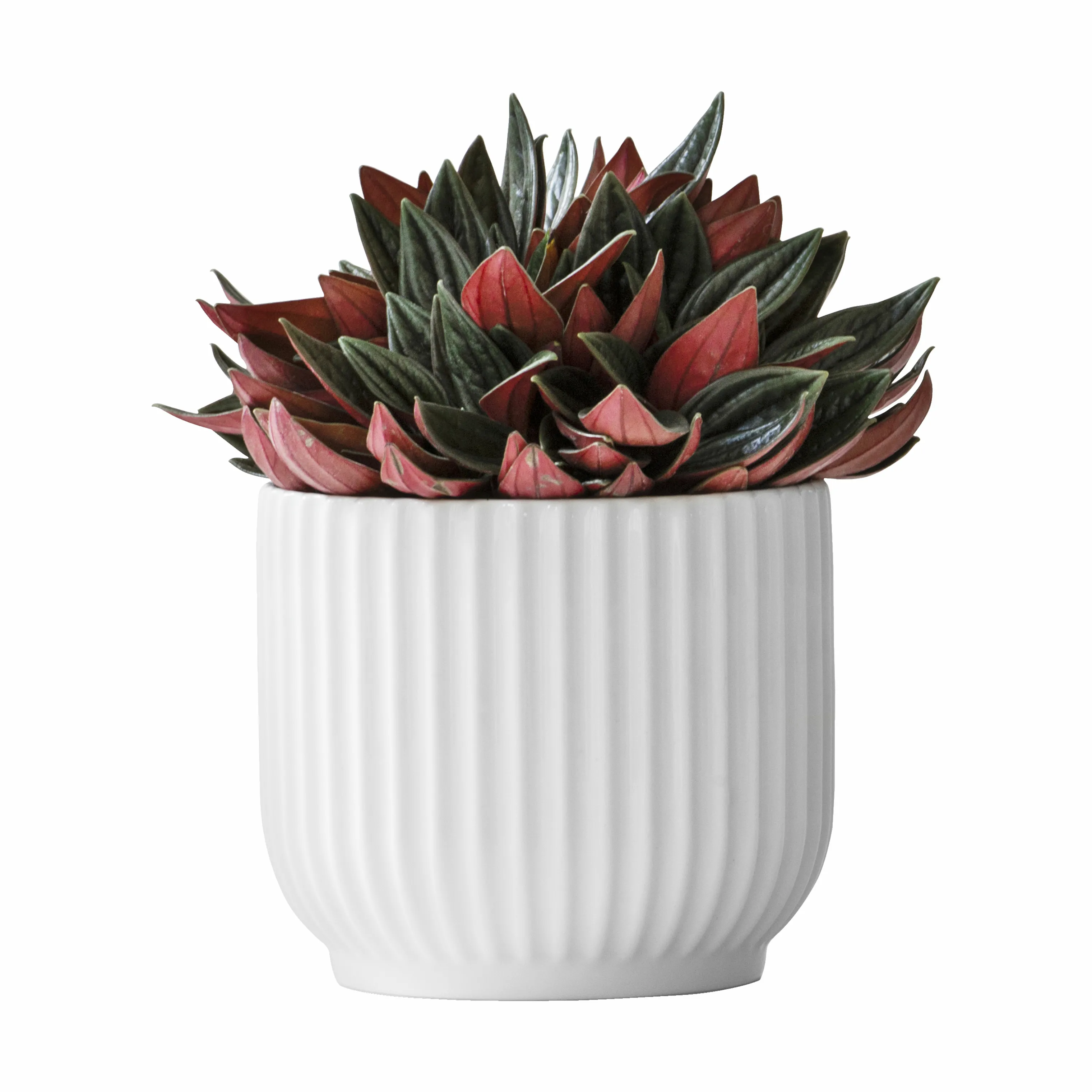 Lyngby Porcelæn Flowerpot Urtepotteskjuler