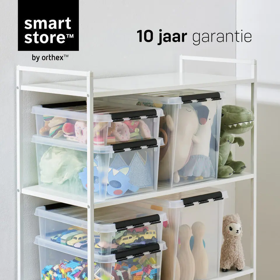 SmartStore Stevige Opbergbox 8L Set van 2 - 34x25x16cm