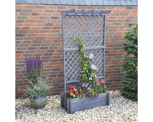 Houten trellisbak met pergola 102 x 65 x 200 cm grijs