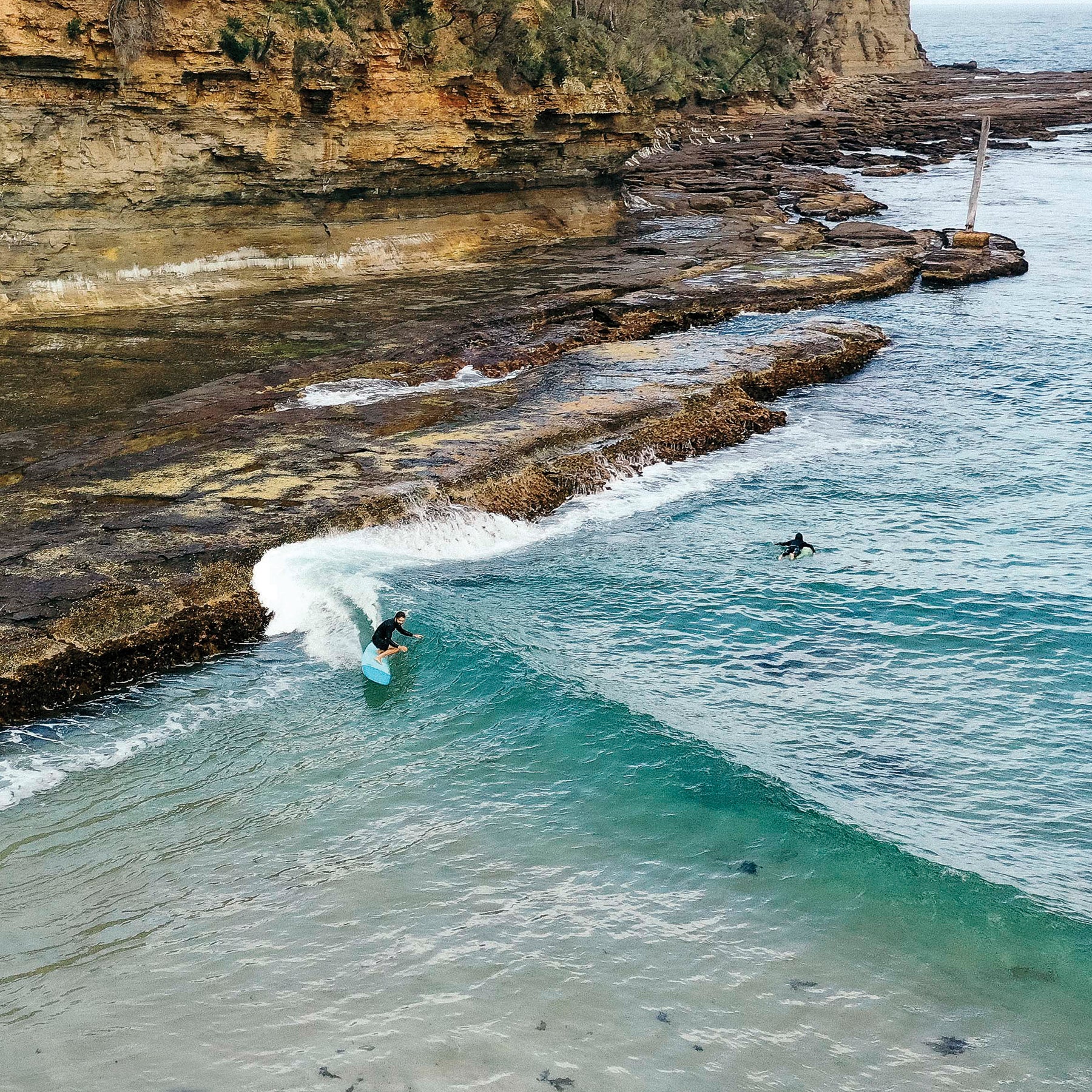 Ocean and earth Ezi Longboard LOG DOG 9'0