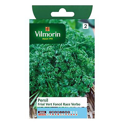 Graines de Persil Frisé Vert Foncé Race Verbo