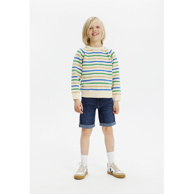 The New THE NEW Denim Shorts Dark blue