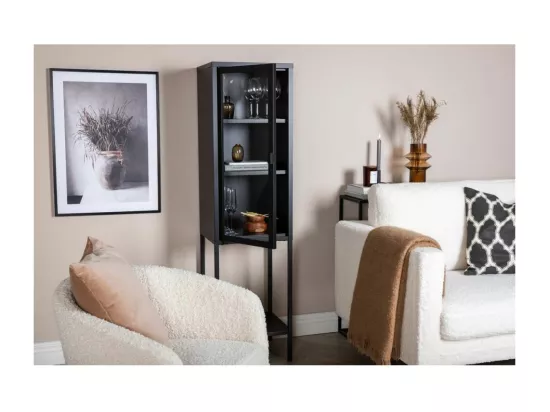 Vitrine Avec Porte en Verre 