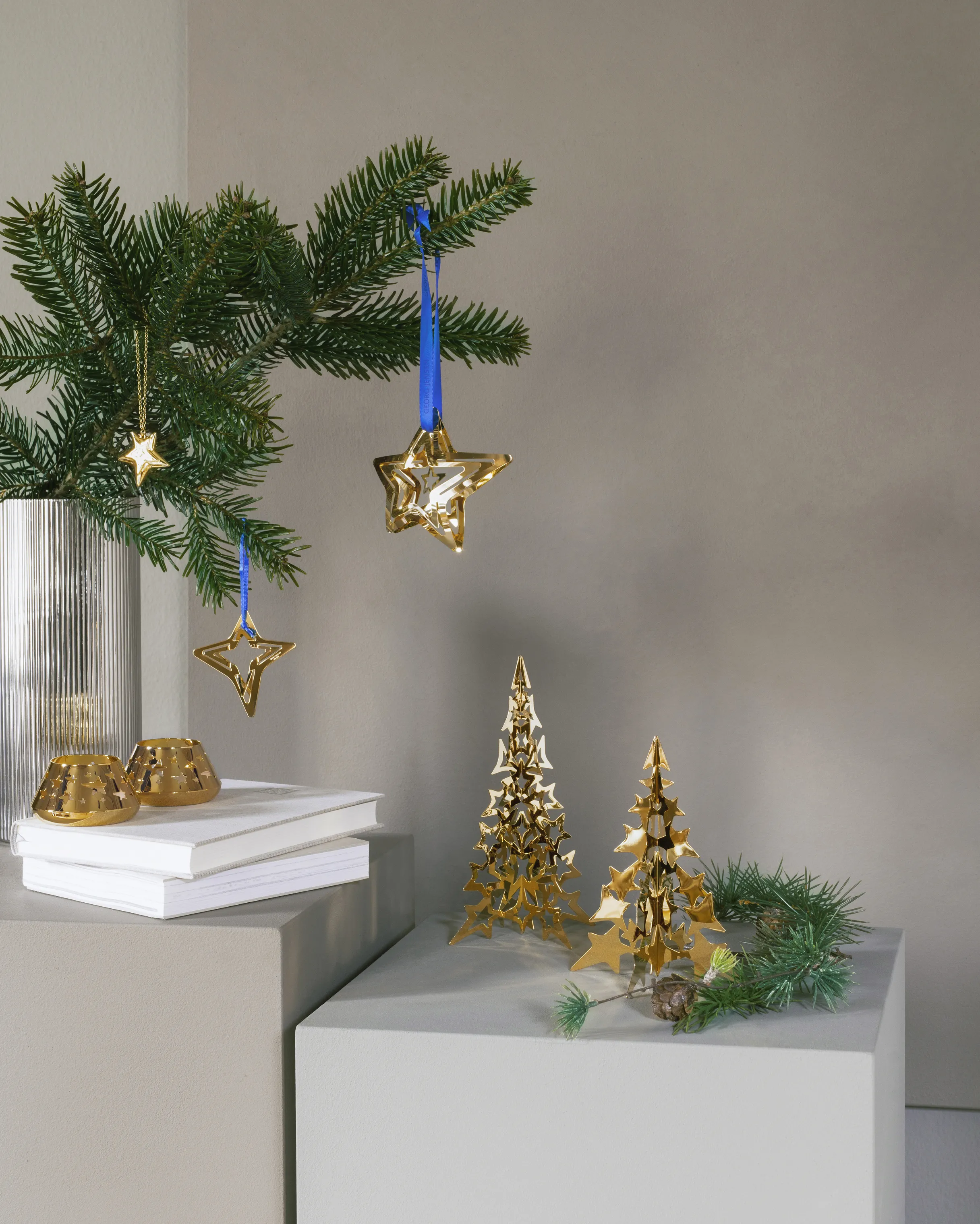 Georg Jensen CC 2021 Juleuro - Stjerneskud