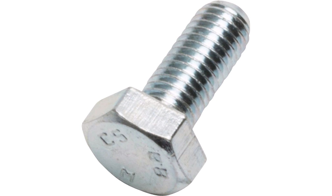 Bolt 8/8 10x25 mm