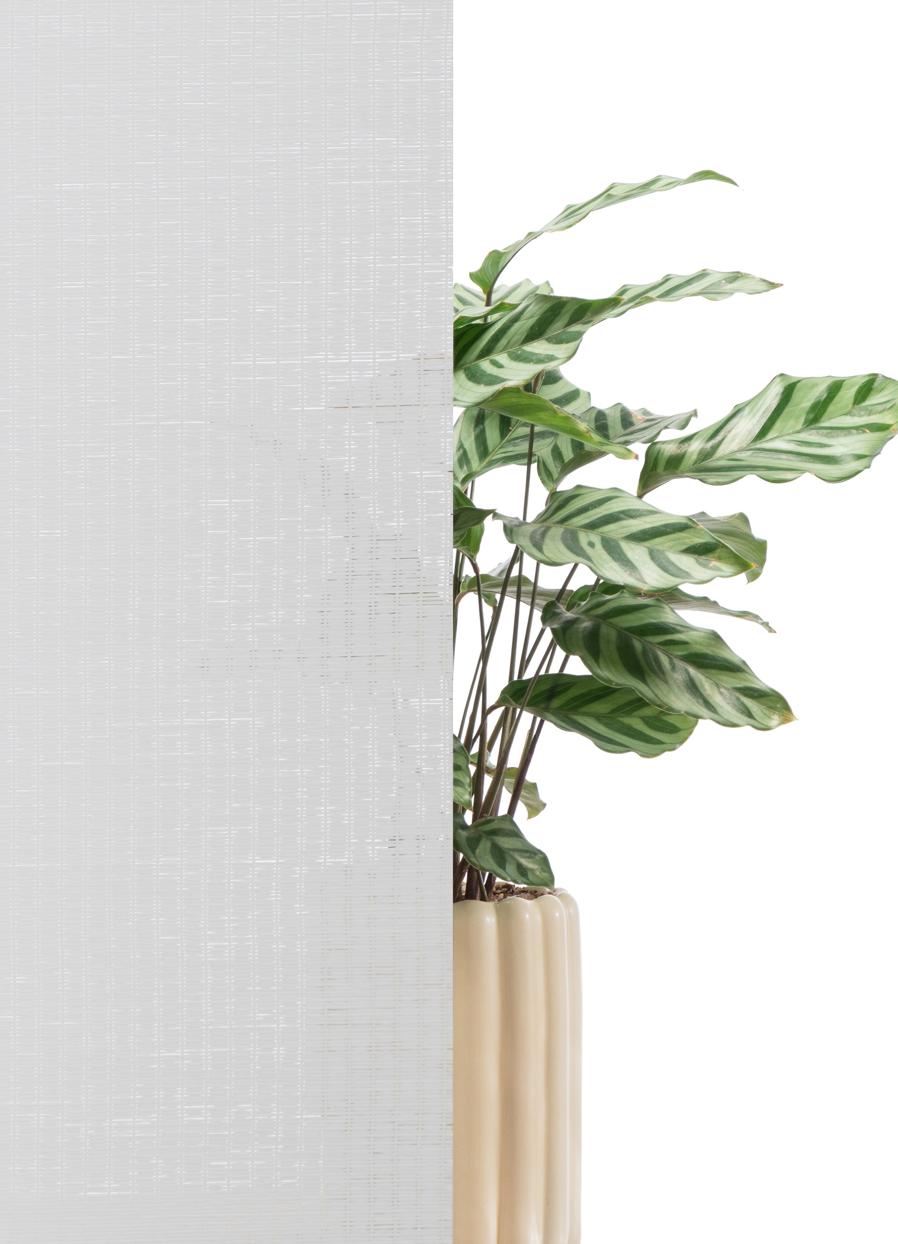 my home Rollo »LIYN« Lichtschutz Sichtschutz | Verdunkelung ohne Bohren freihängend Trendiges Rollo in Naturoptik- NEUHEIT!