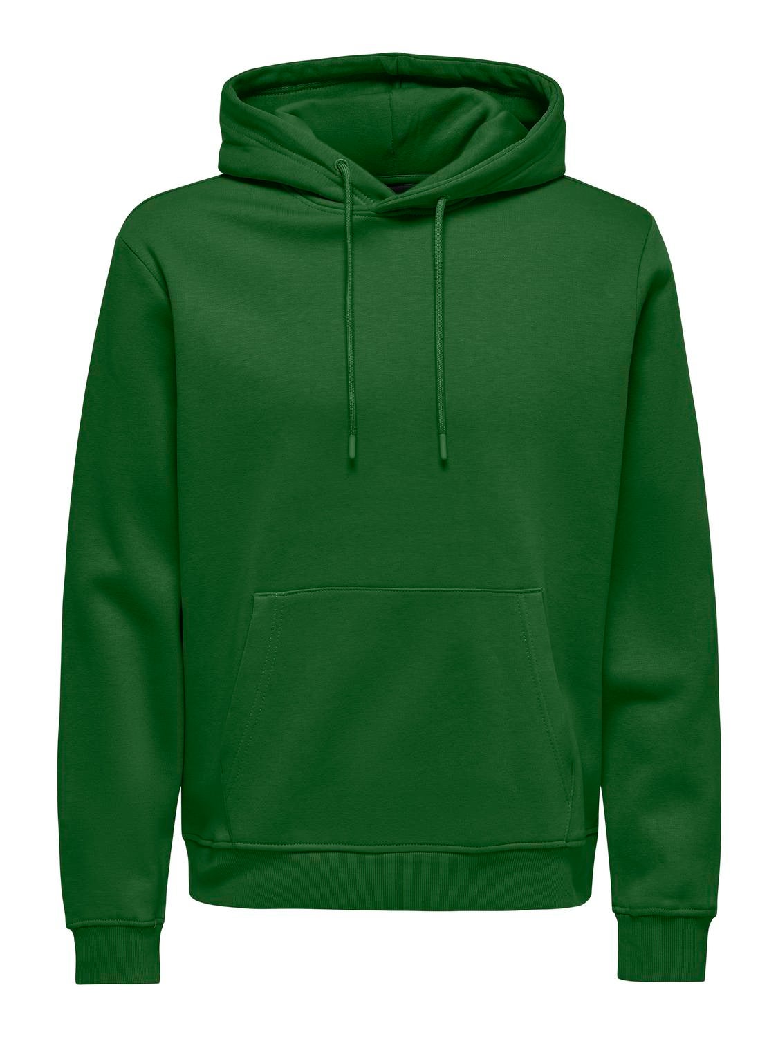 ONSCONNOR Sweatshirt Formal Garden