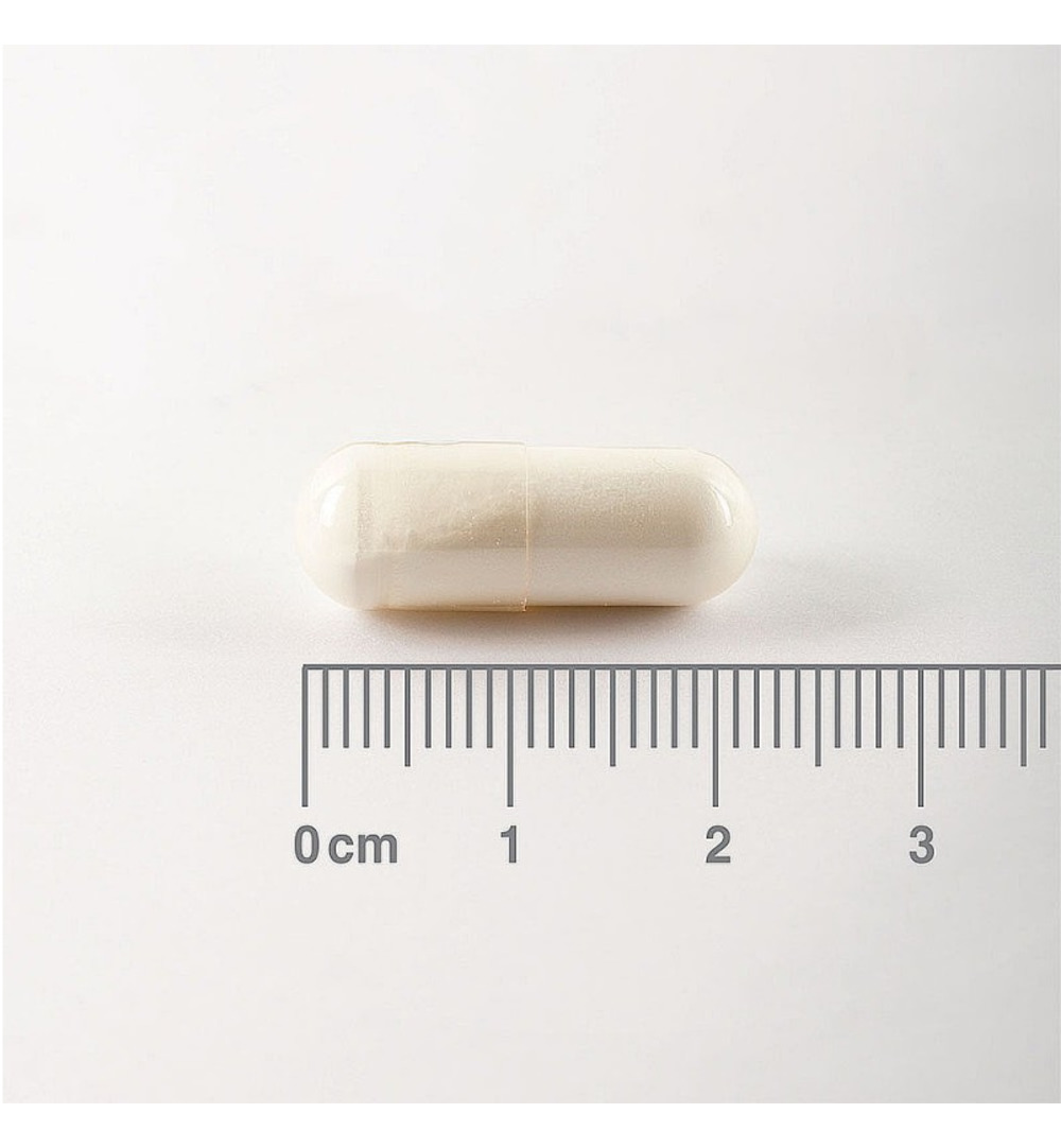 Lamberts L-Glutamine 500mg (90 vega capsules)