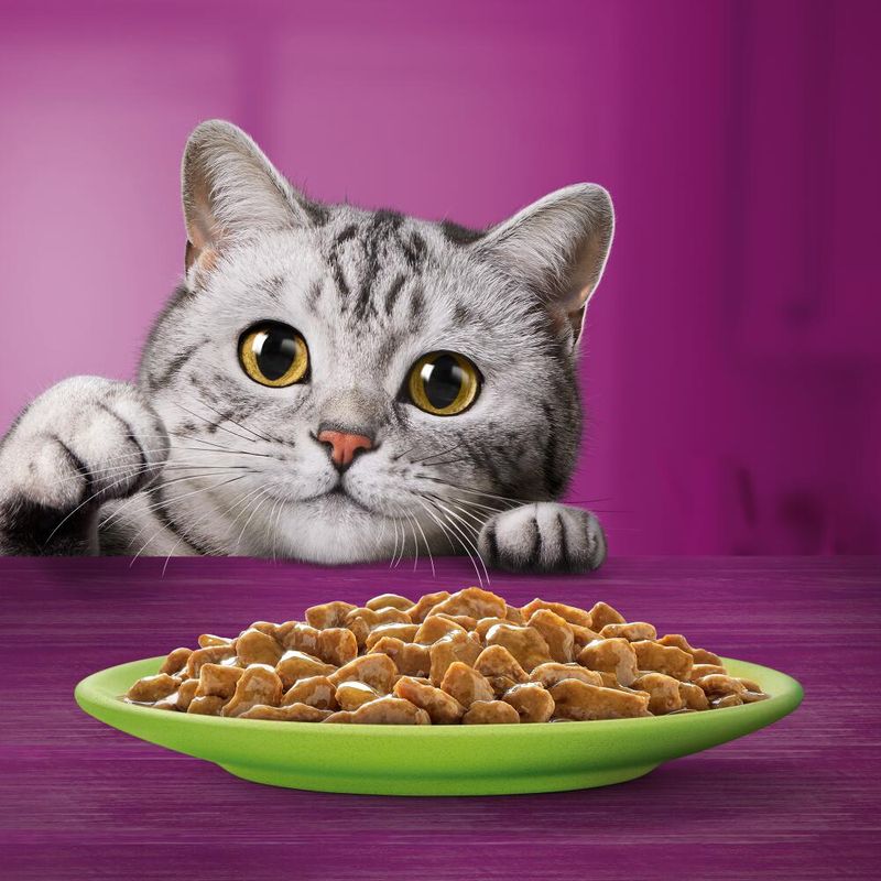 Whiskas Senior 12 x 85 g
