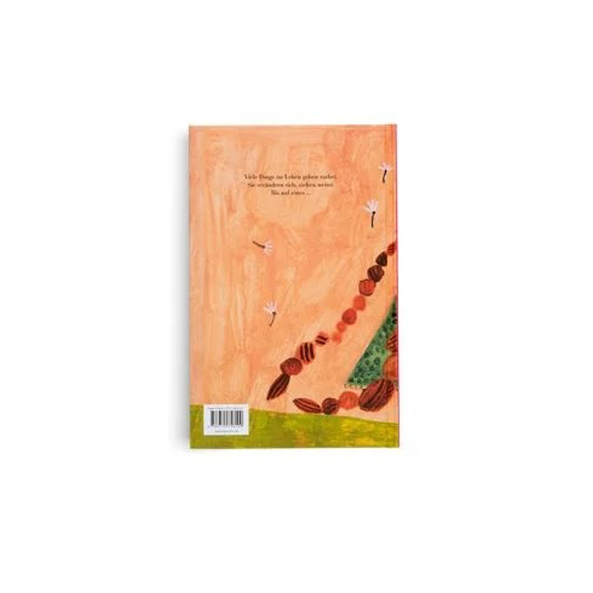 Buch Dinge, die vorüber gehen