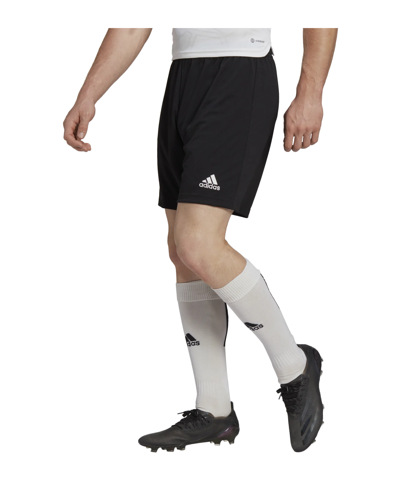 adidas Entrada 22 Short Schwarz
