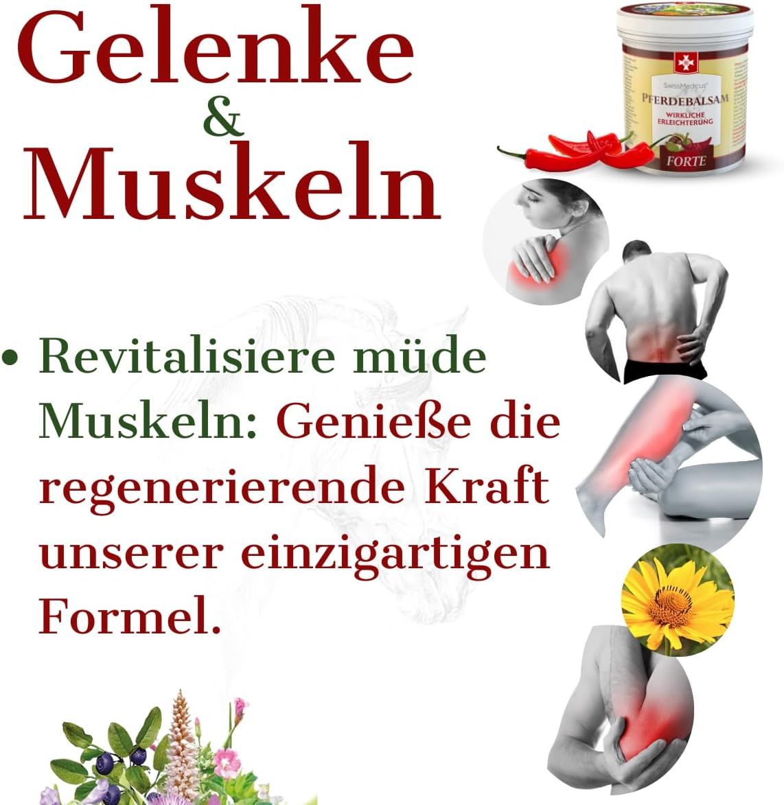 SwissMedicus Pferdebalsam  FORTE