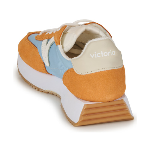 Victoria - COSMOS - Bleu / Jaune / Blanc