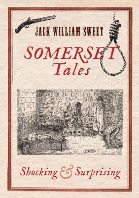 Somerset Tales (Paperback)