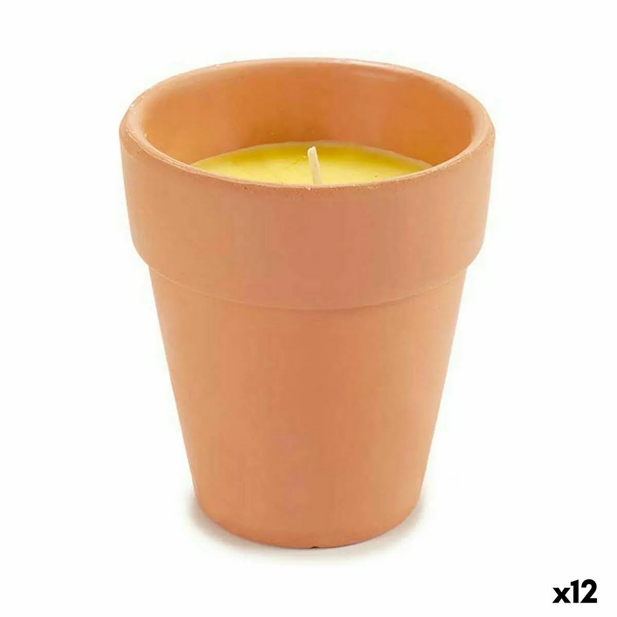 Ibergarden Bougie Citronnelle - 12 Unités