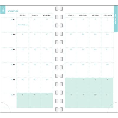 Exacompta Dodo & Cath Lady - Agenda 2025 - semainier - reliure à anneaux métalliques - 16 W Pocket - 90 x 160 mm - carton