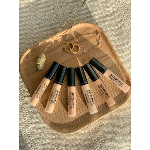 Sandstone Hide & Blend Concealer, N25 Cool Porcelain