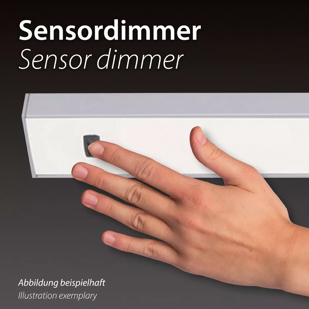 LED-Tischleuchte Pure Grafo