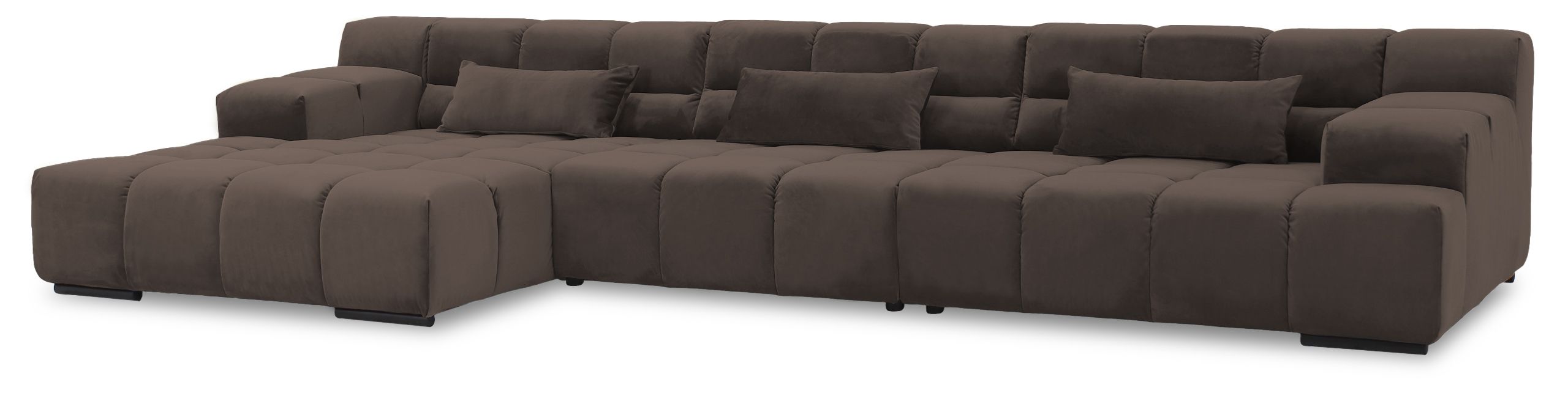 Loungebank  Salvatore