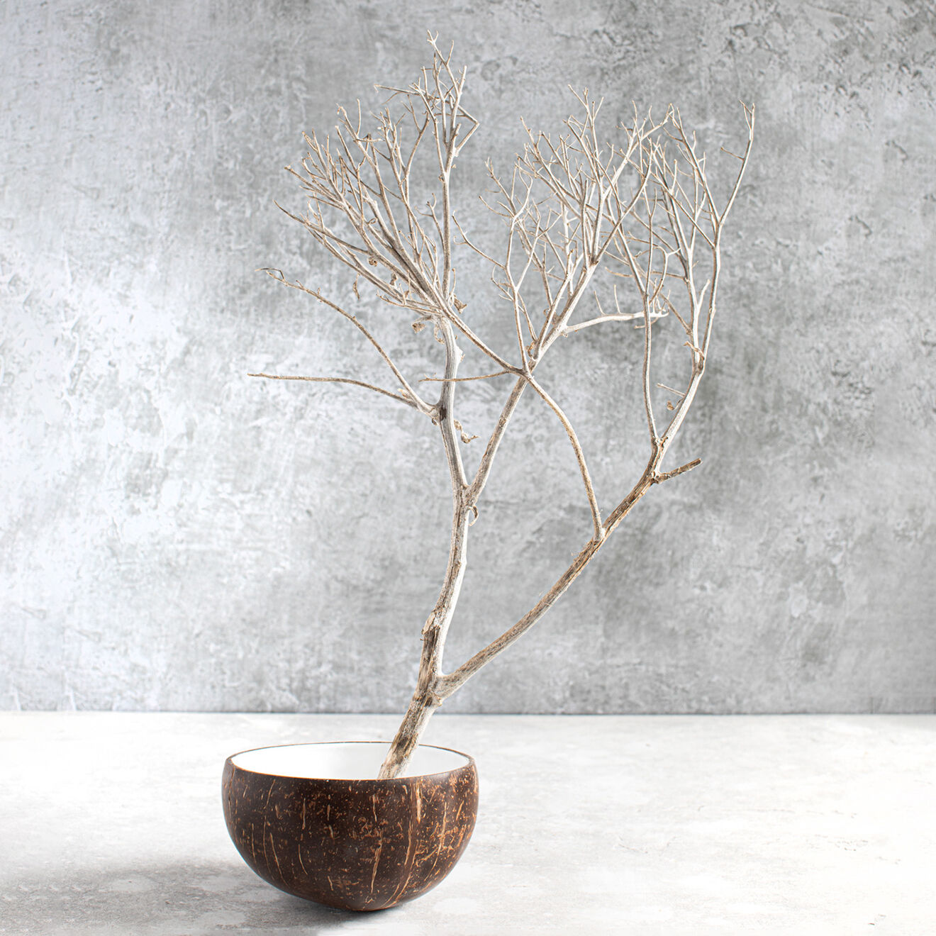 Bazar Bizar Bol coco naturel/blanc - D.15 cm
