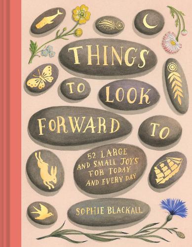 Things to Look Forward To (Hardback)