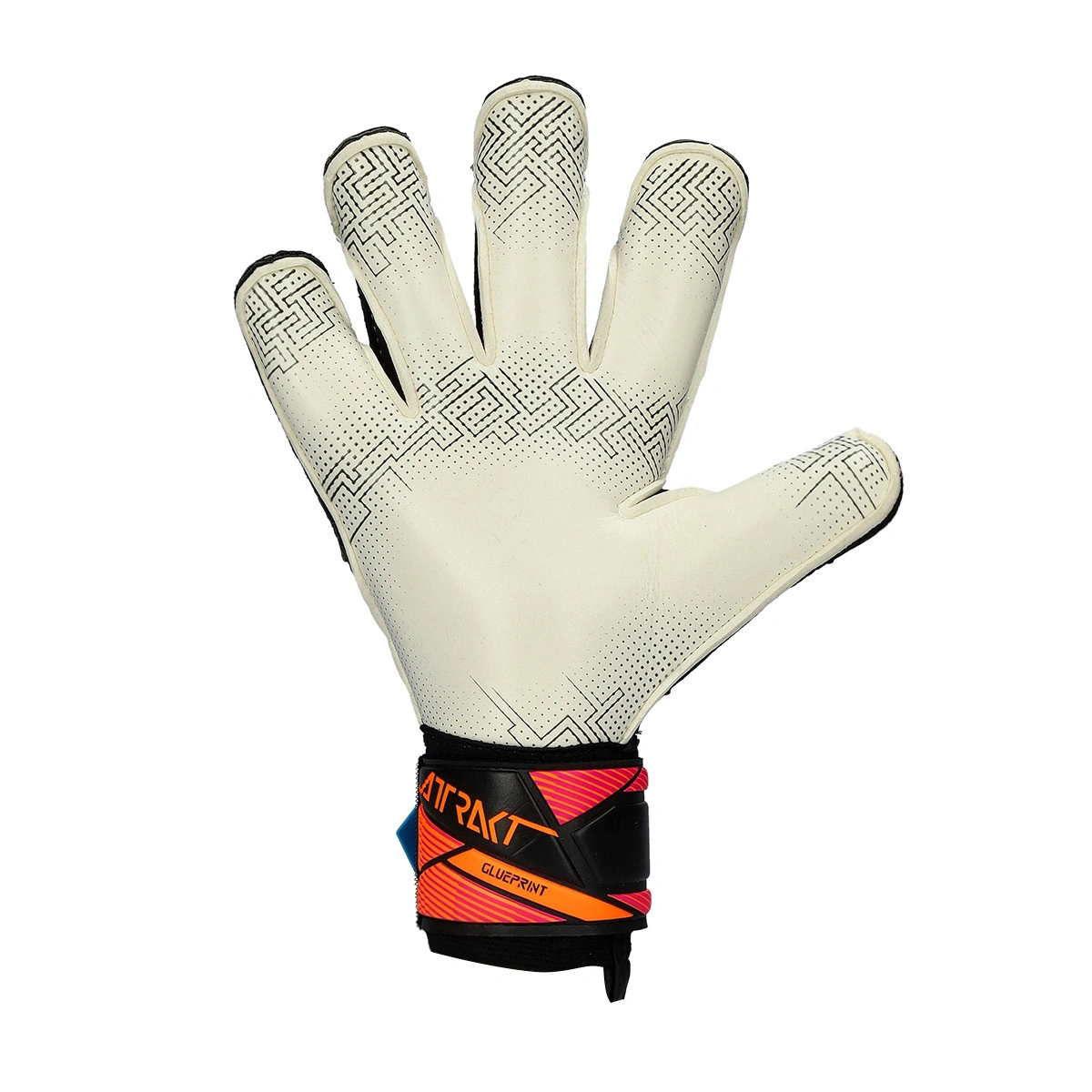 Luvas Reusch Attrakt Advance Evolution Glueprint