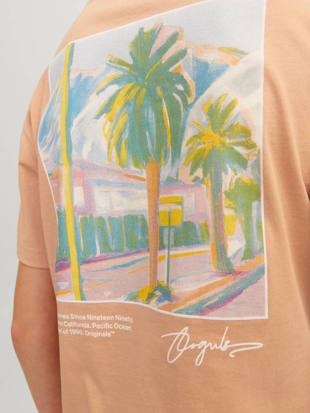 JACK & JONES T-shirt JORARUBA LANDSCAPE met backprint zachtoranje