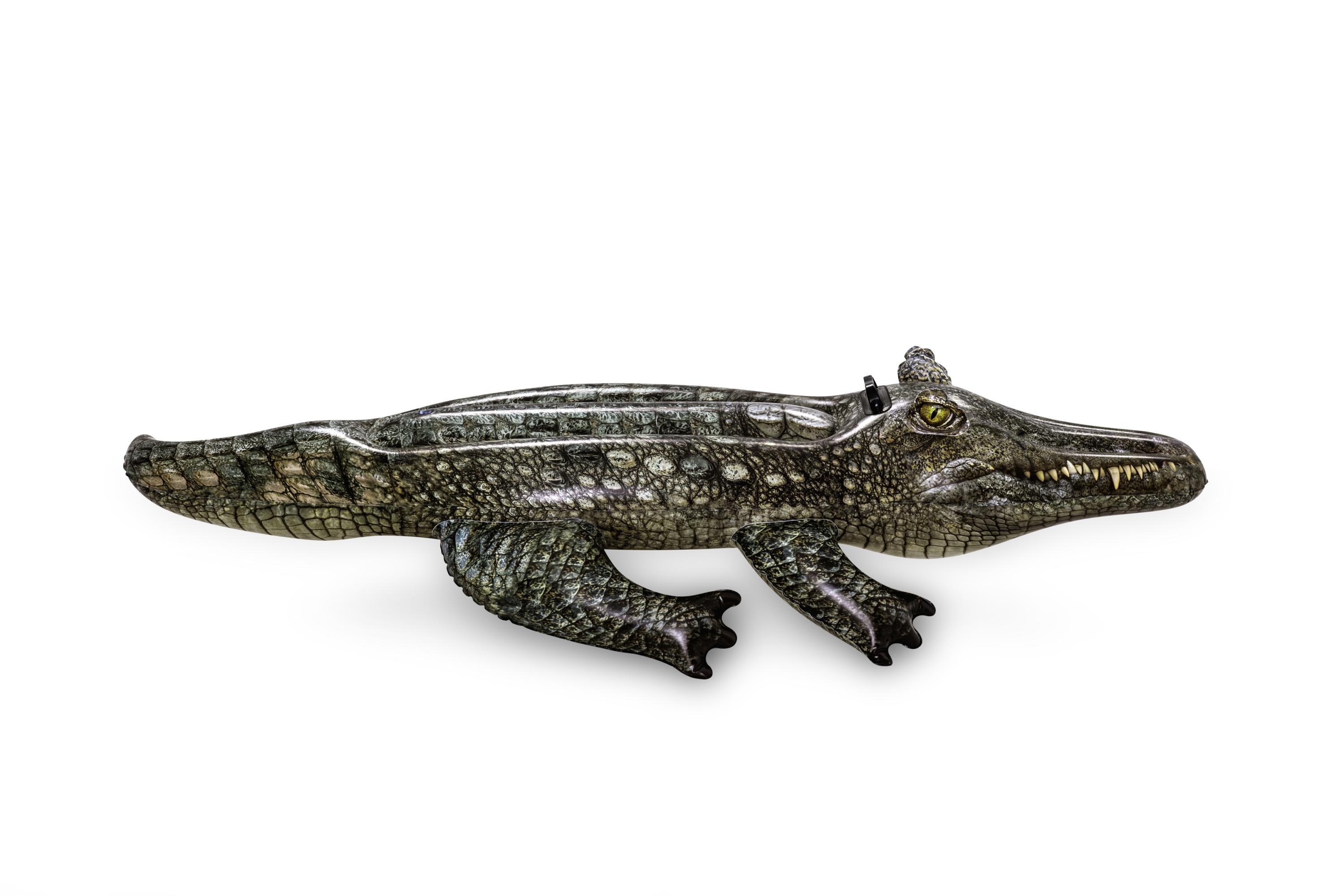 Schwimmtier Realistic Reptile 184 x 78 cm