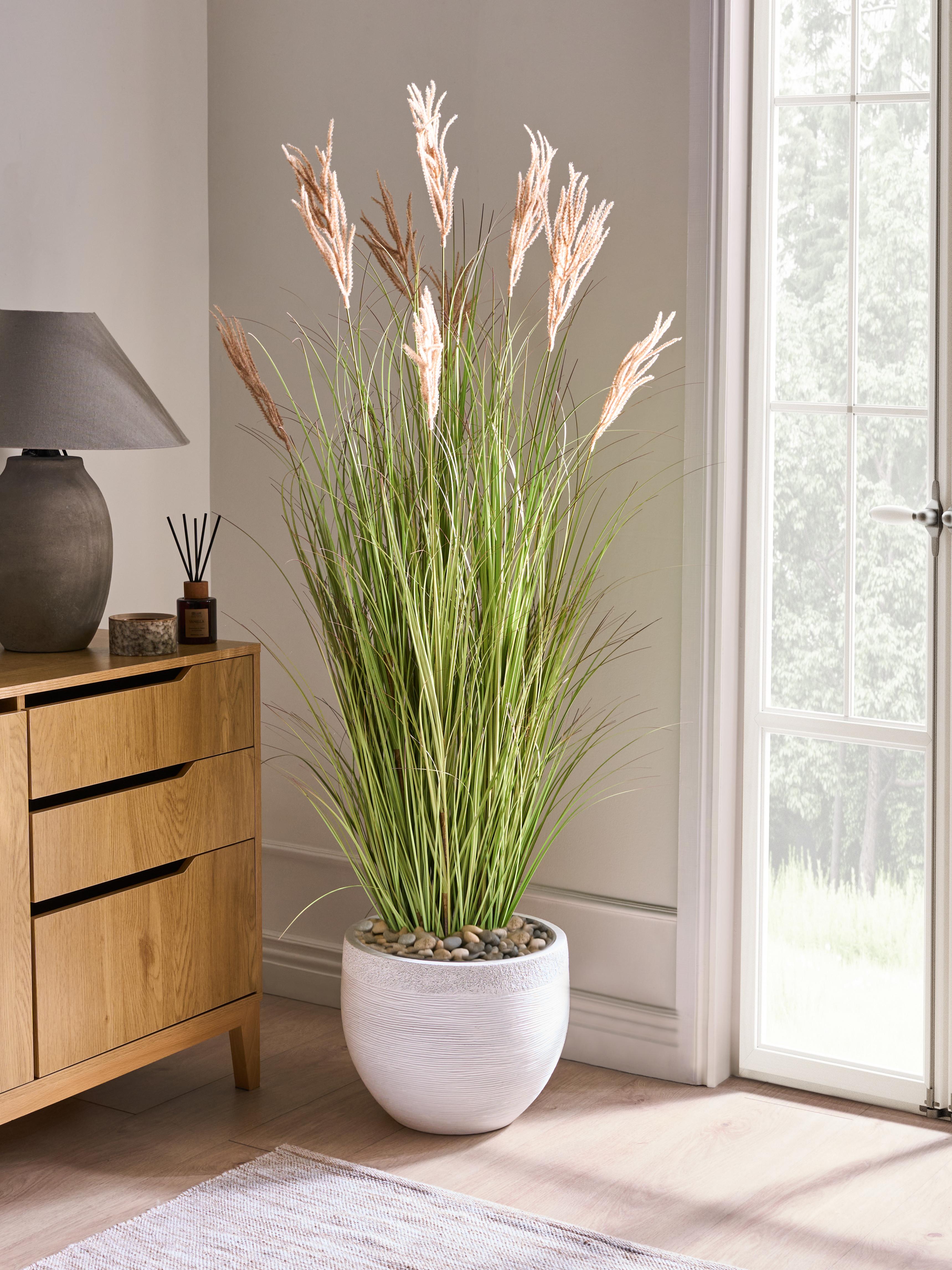Kunstplant CLAW FLOWER 150 cm Groen