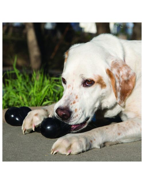 Kong Extreme Goodie Bone - Hondenspeelgoed - 18 cm Zwart