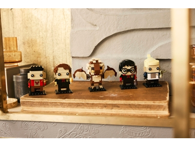 LEGO De Vuurbeker figuren (40791)