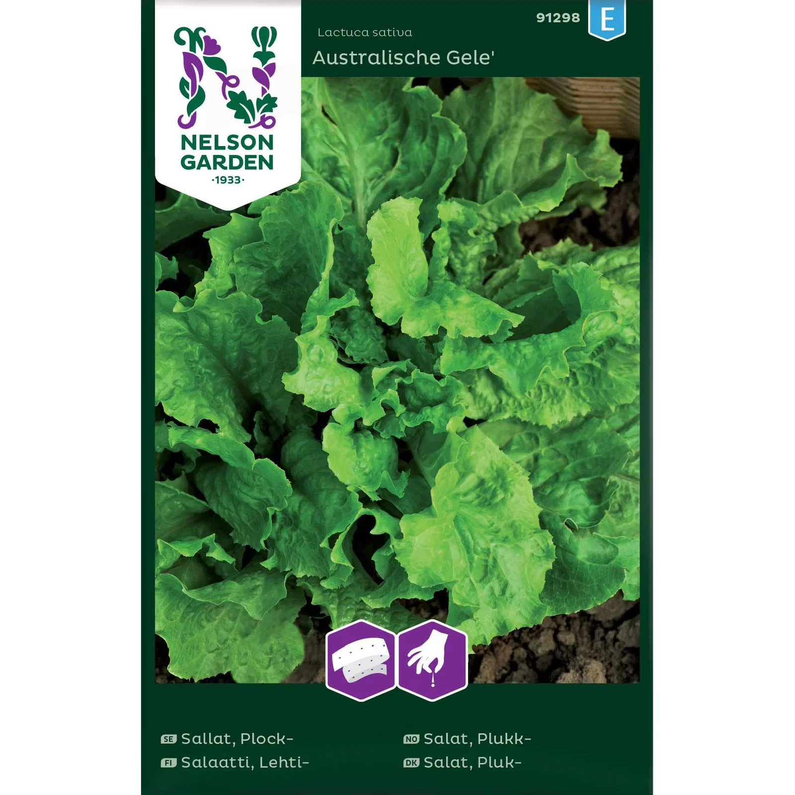 Lactuca sativa 'Australische Gele', Bladsalat 'Australische Gele'