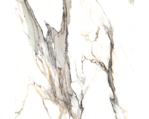 Porseleinen steengoed wand- en vloertegel Calacatta 119,7 x 119,7 x 0,8 cm goud mat gerectificeerd