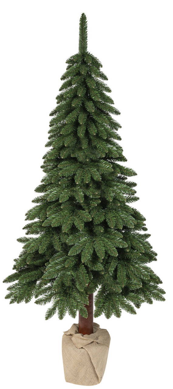 Everlands Tannenbaum Kiefer Tora