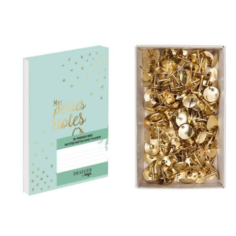 Carnet petites notes en or + 150 punaises dorées
