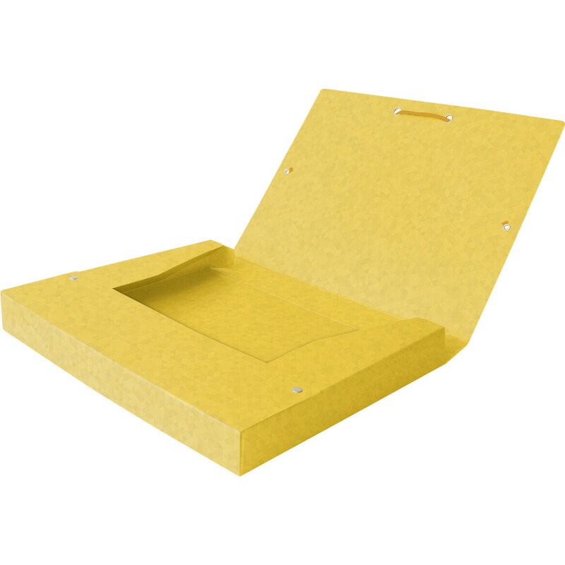 Boîte Oxford capacité standard Top File+ 24x32cm dos 25mm avec élastique couverture carte assorti