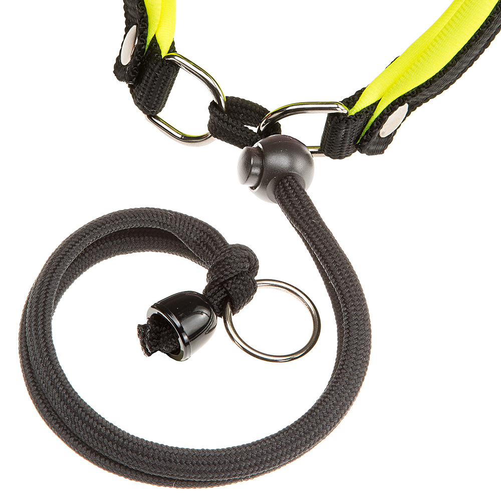 Ferplast harnais ergonomique pour chiens agila fluo 2, ajustement parfait, fermeture pratique avec lacet, rembourrage souple, a=b