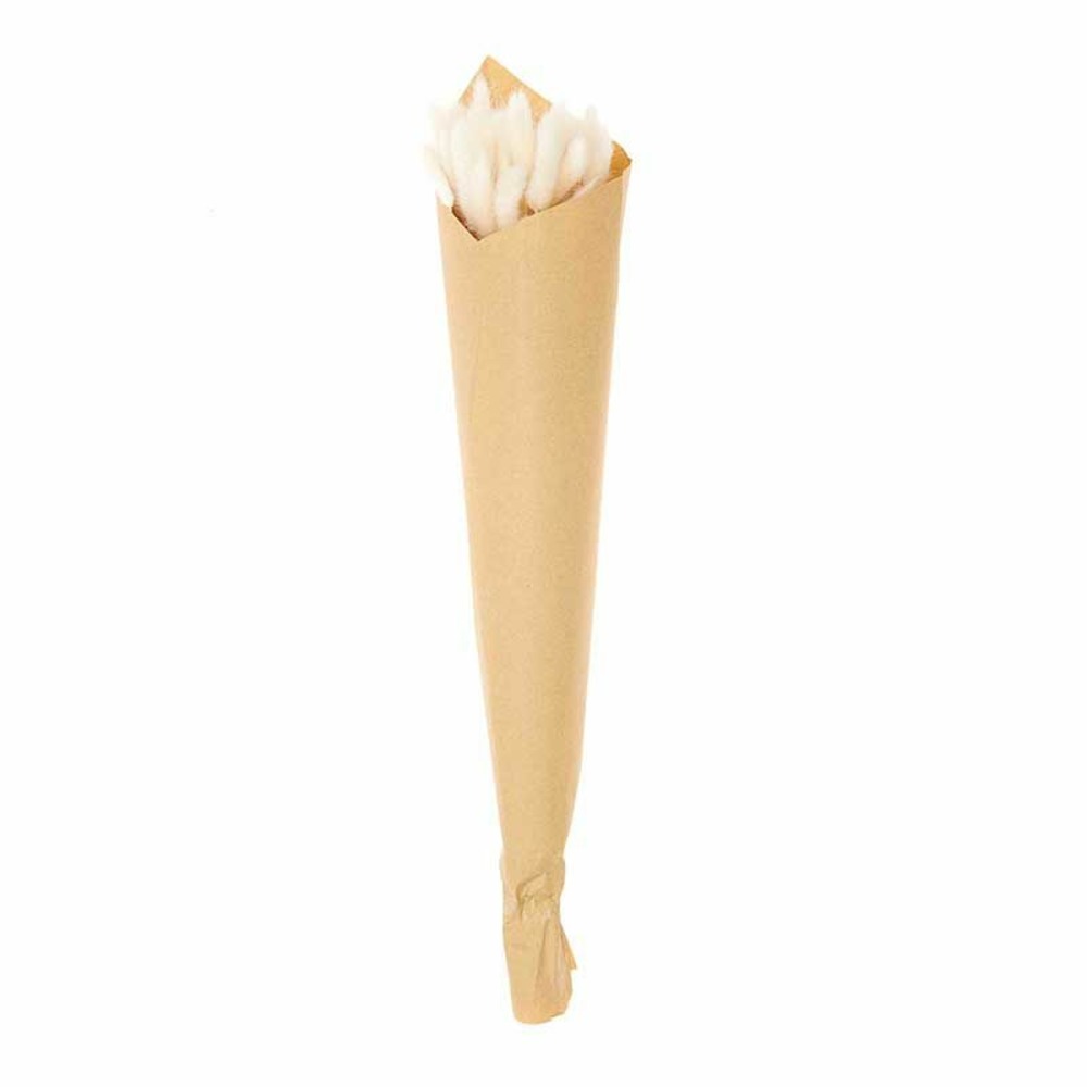 Lagurus séchés blanc - 45 cm