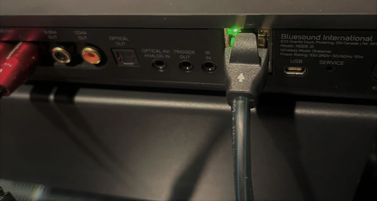 Audioquest Forest RJ/E (0,75 m) Câbles Ethernet