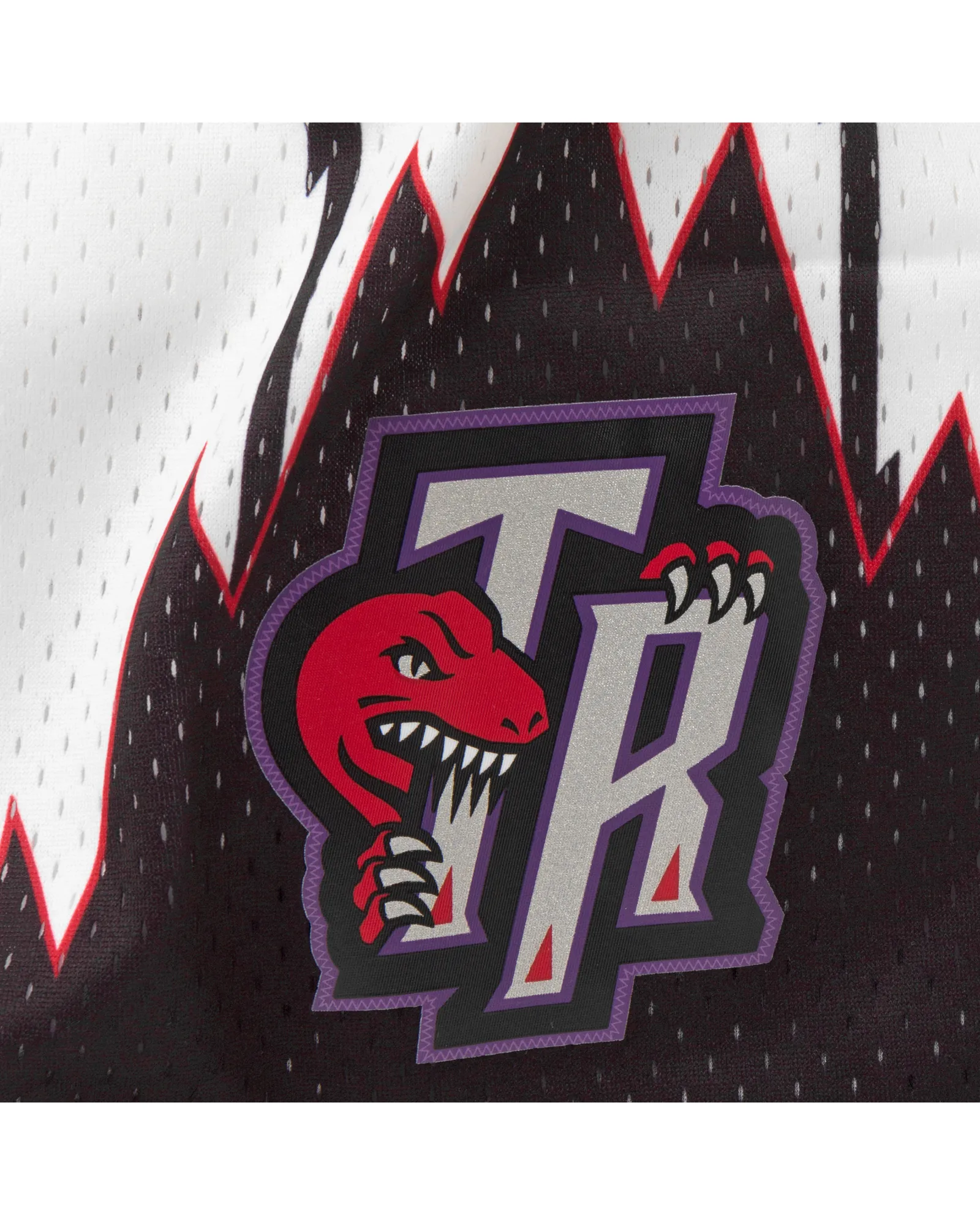 Mitchell & Ness NBA Swingman Shorts Toronto Raptors 1998-99
