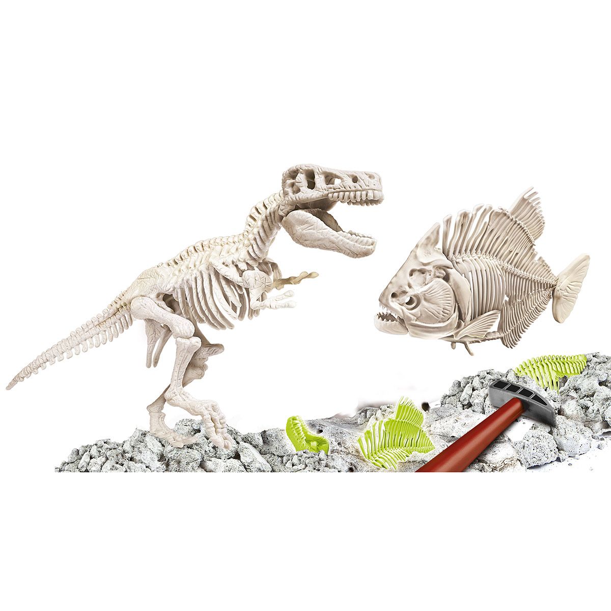 Archéo ludic' T-Rex et Piranha