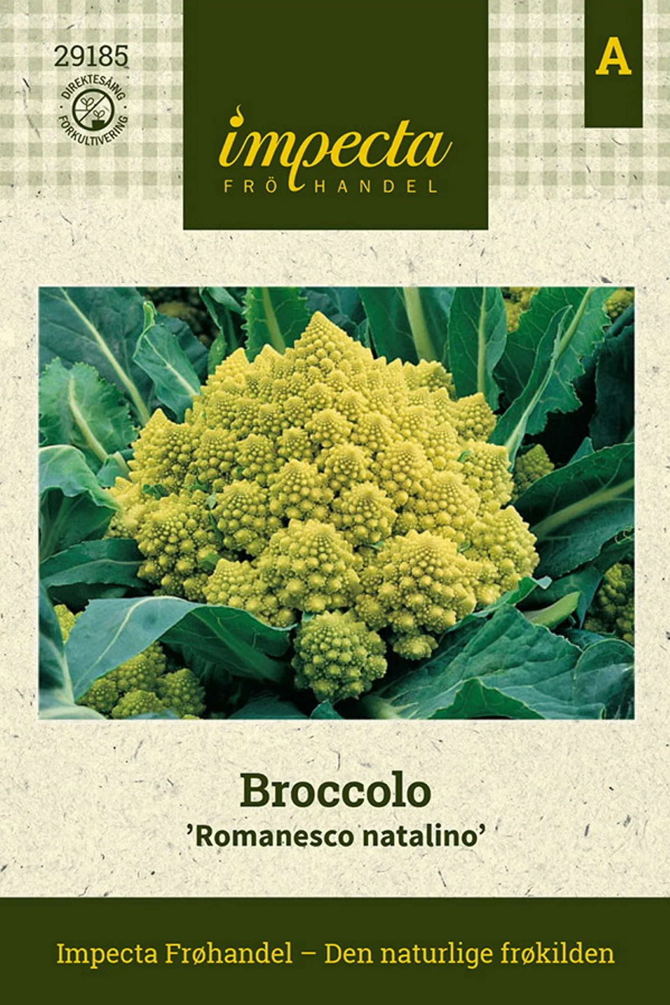 Brassica oleracea 'Romanesco natalino' Broccolo 'Romanesco natalino'