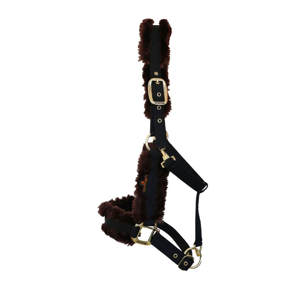 Kentucky NYLON SHEEPSKIN HALTER - Licol black