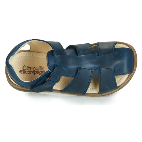 Citrouille et Compagnie - JALIDOU - Bleu foncé